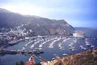 catalina.jpg (3791 bytes)