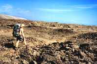 Lava fields