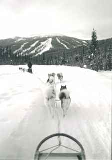 Mushing