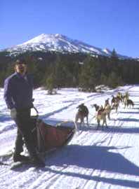 Dog sled