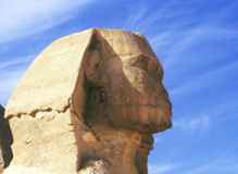 The Sphinx