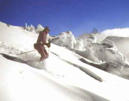 Targhee Powder