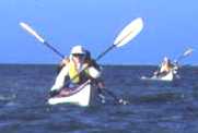 Baja Sea Kayaking