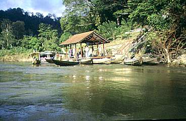 Taman Negara Dock