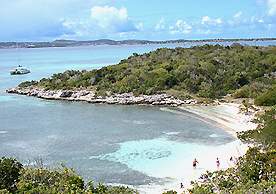 Great Bird Island