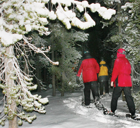 Moonlight Snowshoeing at Mt. Bachelor