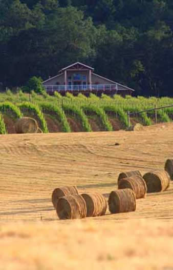 MarshAnne Landing