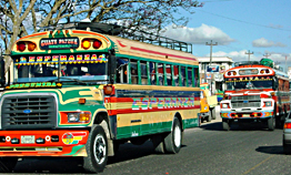 Guatamala chicken bus