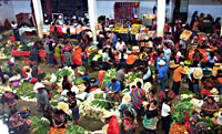 Chichi’s market day