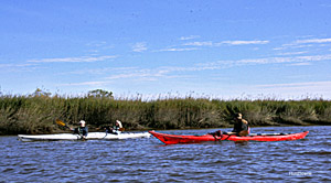 Sea kayakers off Eagle Isloand