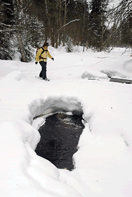 Frozen Onion River