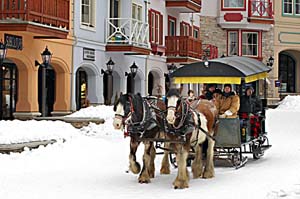 Sleigh ride at Sun Peaks