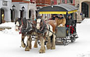 Sun Peaks sleigh ride