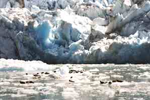 Calving glacier