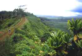 Kuilau Ridge Trail view