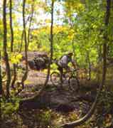 Mountain Biking