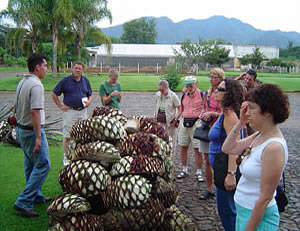 Tequila field trip