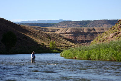 Gunnison River Fisherman