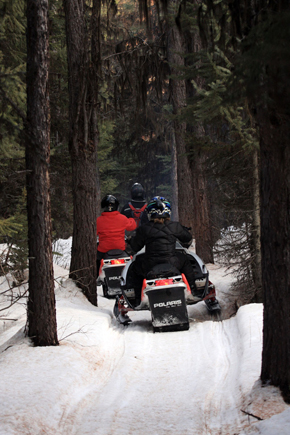 Tight forest trail, Montana