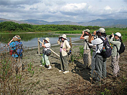 Birdwatchers in Columbia