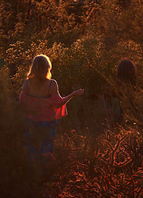 Early light in Arizona desert