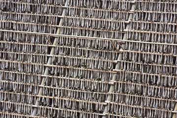 Drying cod in Norway