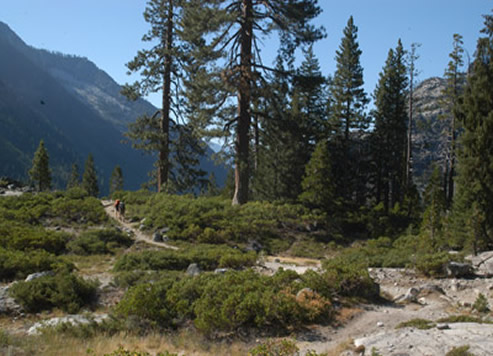 Canyon Creek Trail