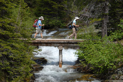 On the trail to Iceberg