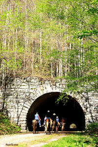 SMNP Road to Nowhere