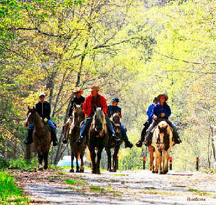 Riding to a mountain waterfall 