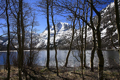 June Lake area