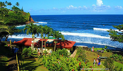 Local's Hawaii beach