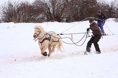 Skijor horse pulling two