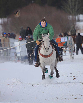 Skijoring horse