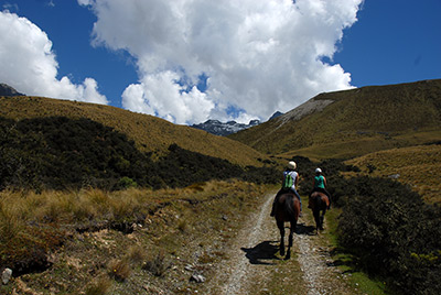 horseback_riding_near_lake_pukaki_new_zealand7