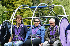 New Zealand Skyline Sky Swing