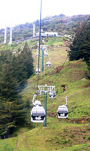 9-Skyline-Gondola-&-Mt-Ngongotaha.jpg