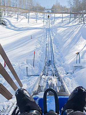 Alpine coaster