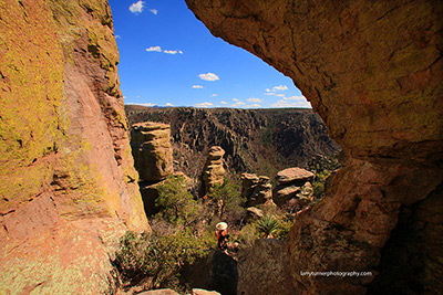 Arizona Massai Point Trail