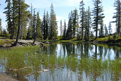 Sifford Lake