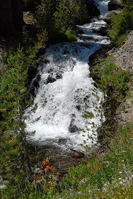 Kings Creek tumbles wildly