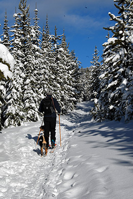 Rossland BC x-skiing to Mosquito