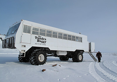 Churchill tundra buggy Yvette Cardozo