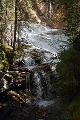 Johnston Canyon