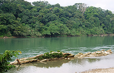 Río Lacantun