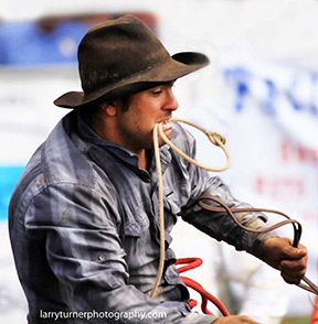 Hawaii Big Island cowboy