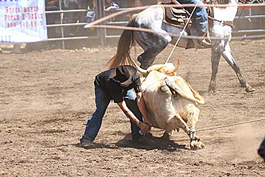 Hawaii Big Island rodeo