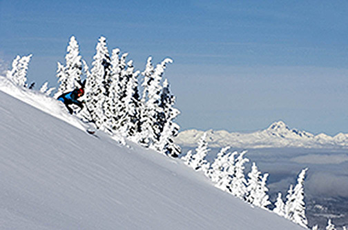 Sun Peaks skiing powder