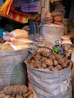 Sacks and sacks of potatoes