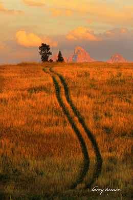 Teton Valley truck tracks